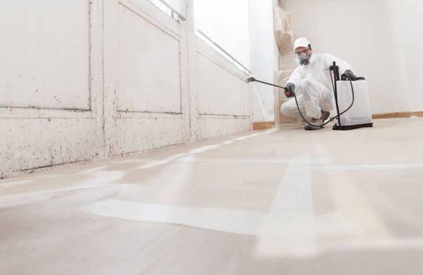 24/7 Emergency Mold Remediation experts in Damascus, MD